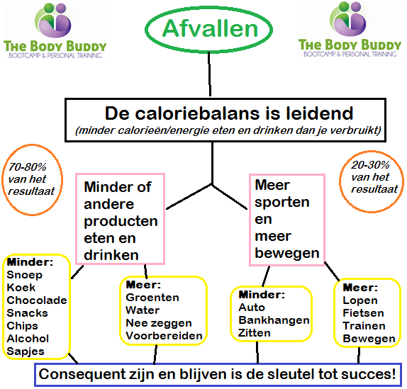 afvallen uitleg in paint met the body buddy logo