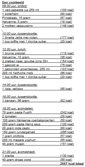 mijn blog kcal een voorbeeld nieuw